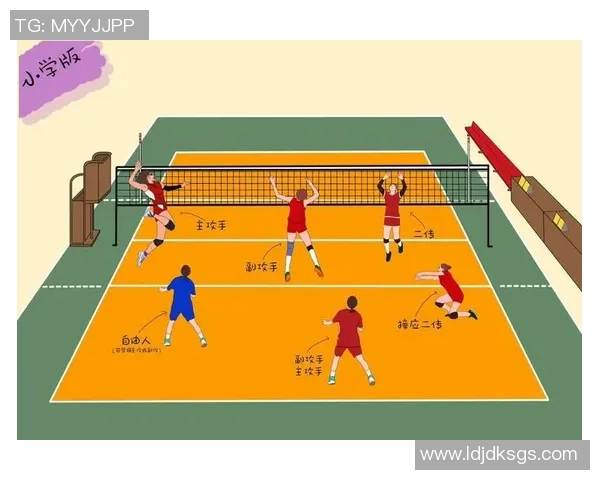 重庆排球队在总决赛中的灵活性展现与战术调整分析